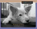 Pawfiles Portraists of Dogs: A Bark and Smile Book