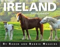 2011 Ireland mini Box Calendar