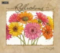 2012 Reflections Wall Calendar