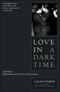 Love in a Dark Time: And Other Explorations of Gay Lives and Literature