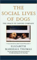 The Social Lives Of Dogs