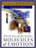 Molecules of Emotion: Why You Feel the Way You Feel