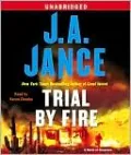 Trial by Fire (Ali Reynolds Series #5)