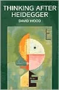 Thinking after Heidegger