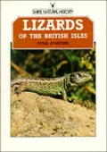 Lizards of the British Isles (Shire natural history)