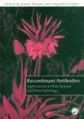 Recombinant Antibodies