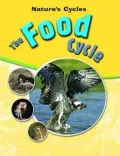 The Food Cycle