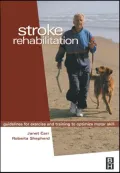 Stroke Rehabilitation: Guidelines for Exercise and Training to Optimize Motor Skill
