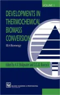 Developments in Thermochemical Biomass Conversion