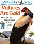 I Wonder Why Vultures Are Bald: And Other Questions about Birds