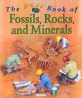 Best Book of Fossils, Rocks, and Minerals