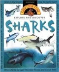 Question Time: Sharks