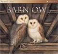 Animal Lives: Barn Owl