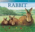 Animal Lives: Rabbit