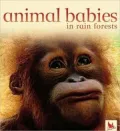 Animal Babies in Rainforest