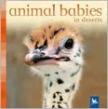 Animal Babies in Deserts