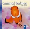 Animal Babies in Seas