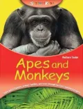 Apes and Monkeys