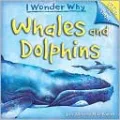 Whales and Dolphins ( I Wonder why Series)