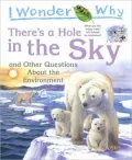 I Wonder Why: There's a Hole in the Sky: And Other Questions about the Environment