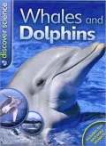 Whales and Dolphins