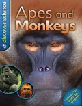 Apes and Monkeys
