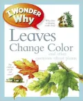 I Wonder Why Trees Change Color