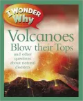I Wonder Why Volcanoes Blow Their Tops: and Other Questions About Natural Disasters