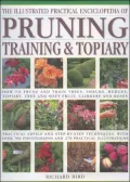 The Illustrated Practical Encyclopedia of Pruning, Training and Topiary : How to Prune and Train Trees, Shrubs, Hedges, Topiary, Tree and Soft Fruit, Climbers and Roses