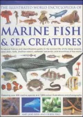 Illustrated World Encyclopedia Marine Fishes & Sea Creatures A Natural History and Identific...