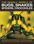 Bugs Snakes Spiders and Crocodiles