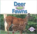 Deer Have Fawns (Animals and Their Young)