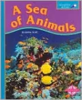 A Sea of Animals (Spyglass Books, Life Science)
