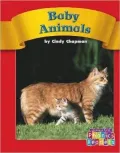 Baby Animals