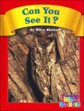 Can You See It? (Compass Point Phonics Readers)
