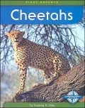 Cheetahs (First Reports)