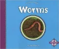 Worms