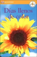 Dias Llenos De Color