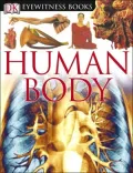 Human Body