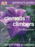 Clematis and Climbers
