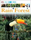 Rain Forest