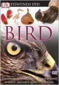 Eyewitness Bird