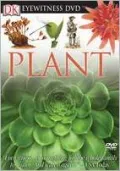 Eyewitness Plant