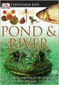 Pond and River