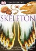 Eyewitness Skeleton