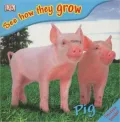 Pig: See How They Grow