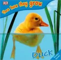 Duck: See How They Grow