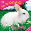Bunny: See How They Grow