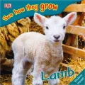 Lamb: See How They Grow