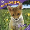 Fox: See How They Grow